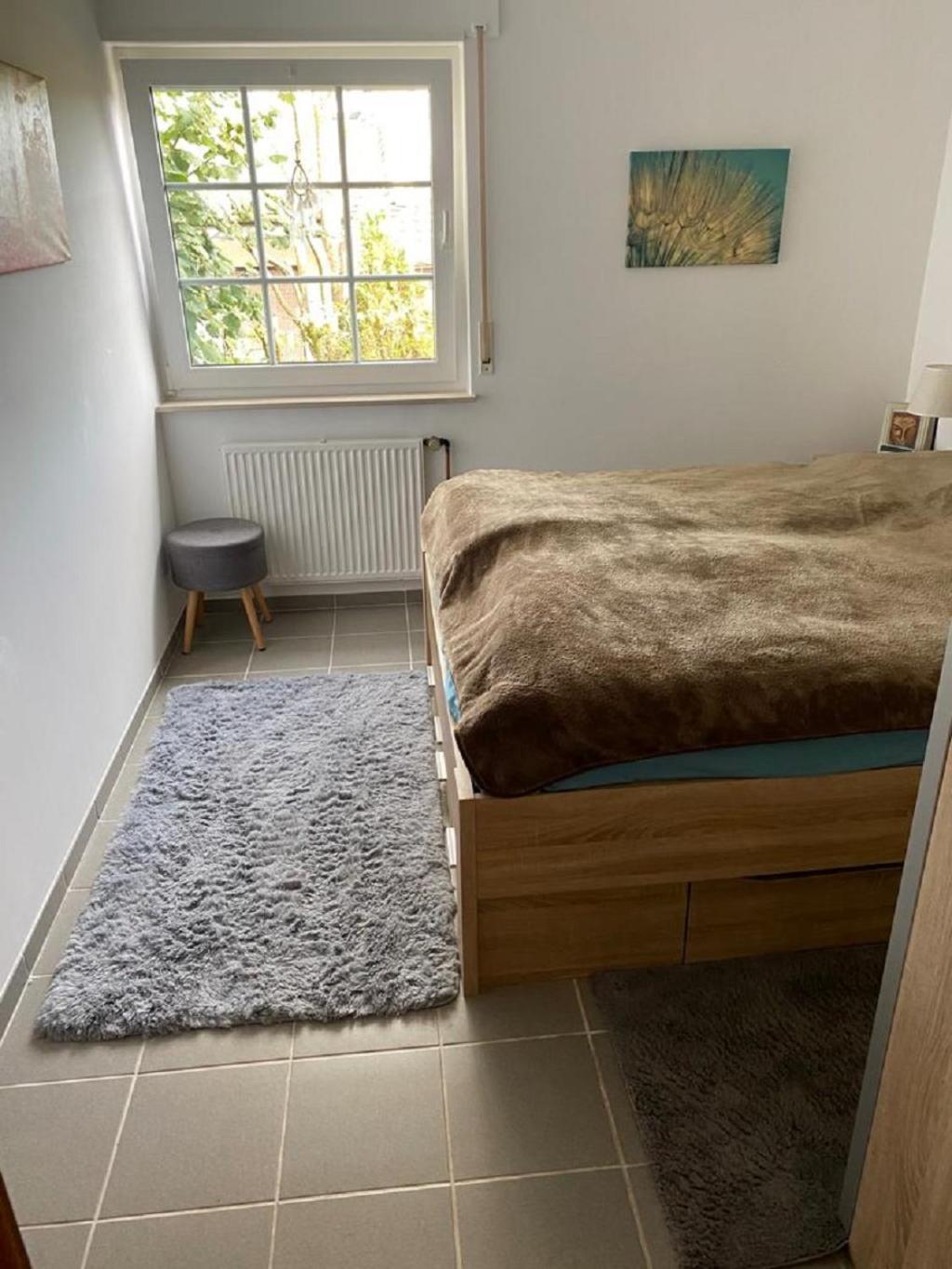 Ferienhaus Glueckspilz Beim Hennesee Meschede Esterno foto